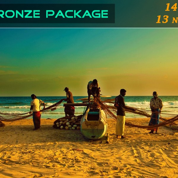 Colorfulful reef with hard and soft corals