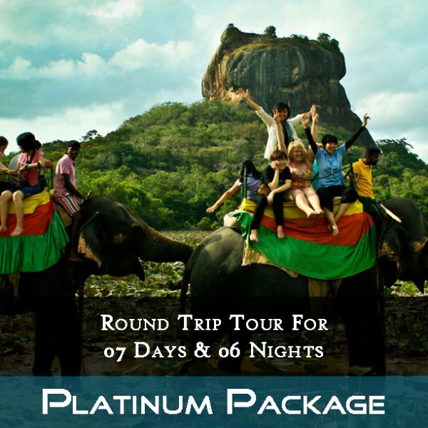 Colorfulful reef with hard and soft corals